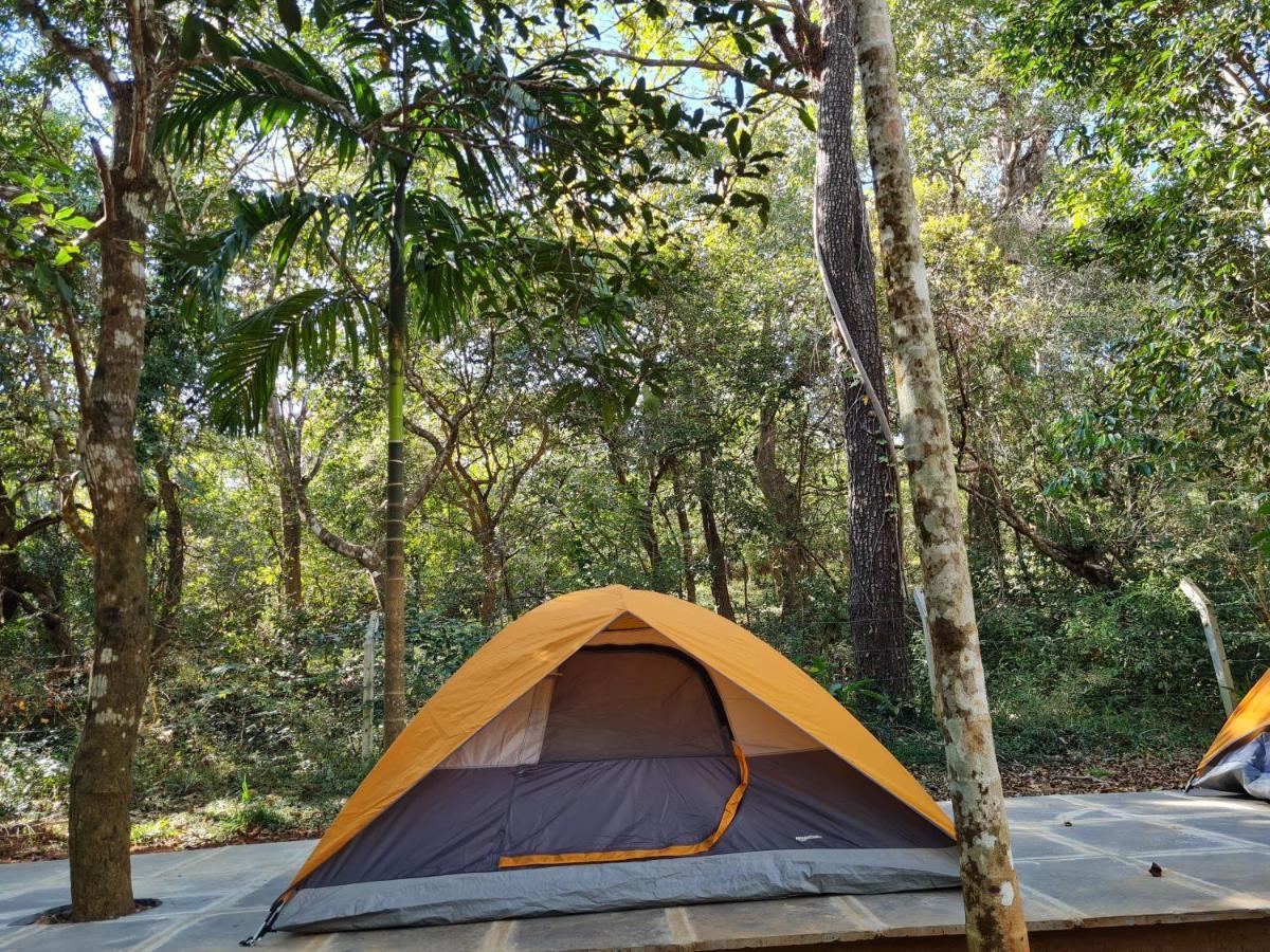 Captain'S Camp Sirsi Ngoại thất bức ảnh